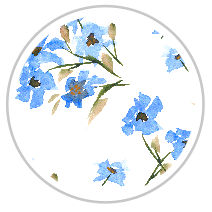 Cornflower Bloom — Large Floral Print