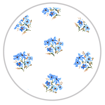Cornflower Bloom — Medium Floral Pattern