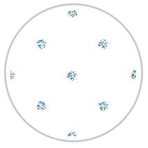 Cornflower Bloom — Small Floral Pattern