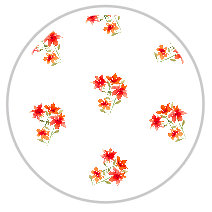 Flame Bloom — Medium Floral Pattern